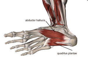 Baxter's Neuropathy - Academy of Clinical Massage